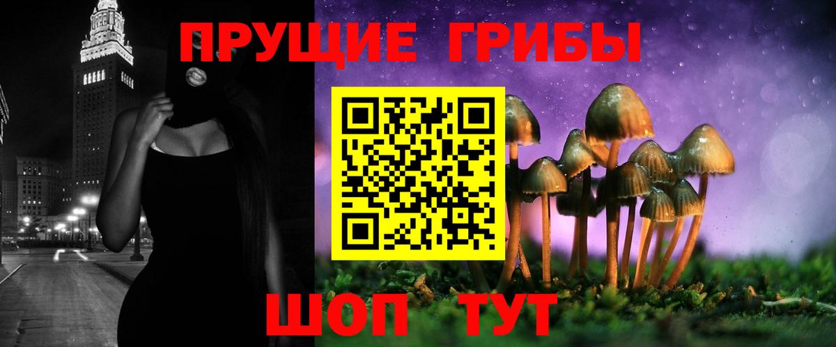 Псилоцибиновые грибы мицелий Малоярославец