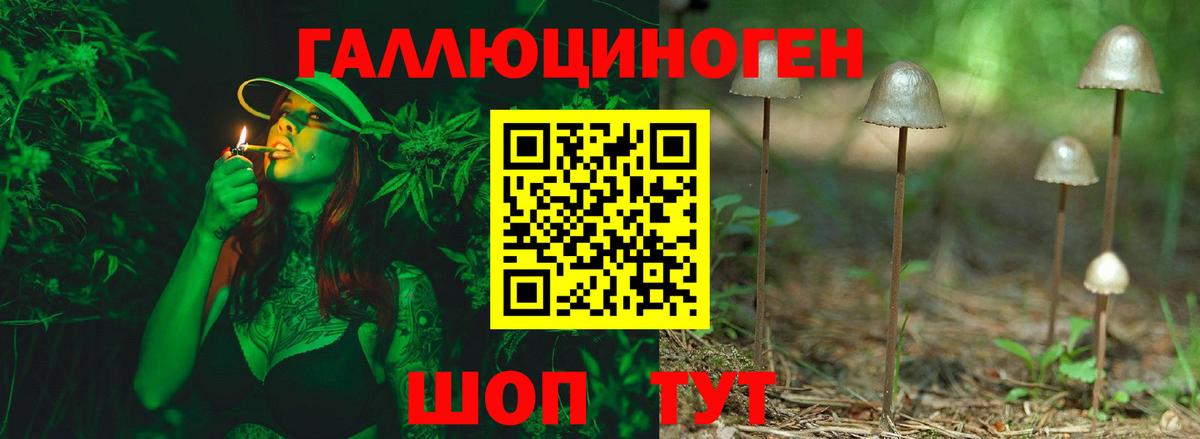 Галлюциногенные грибы Psilocybe  хочу   Малоярославец  Псилоцибиновые грибы ЛСД  Вход с VPN 